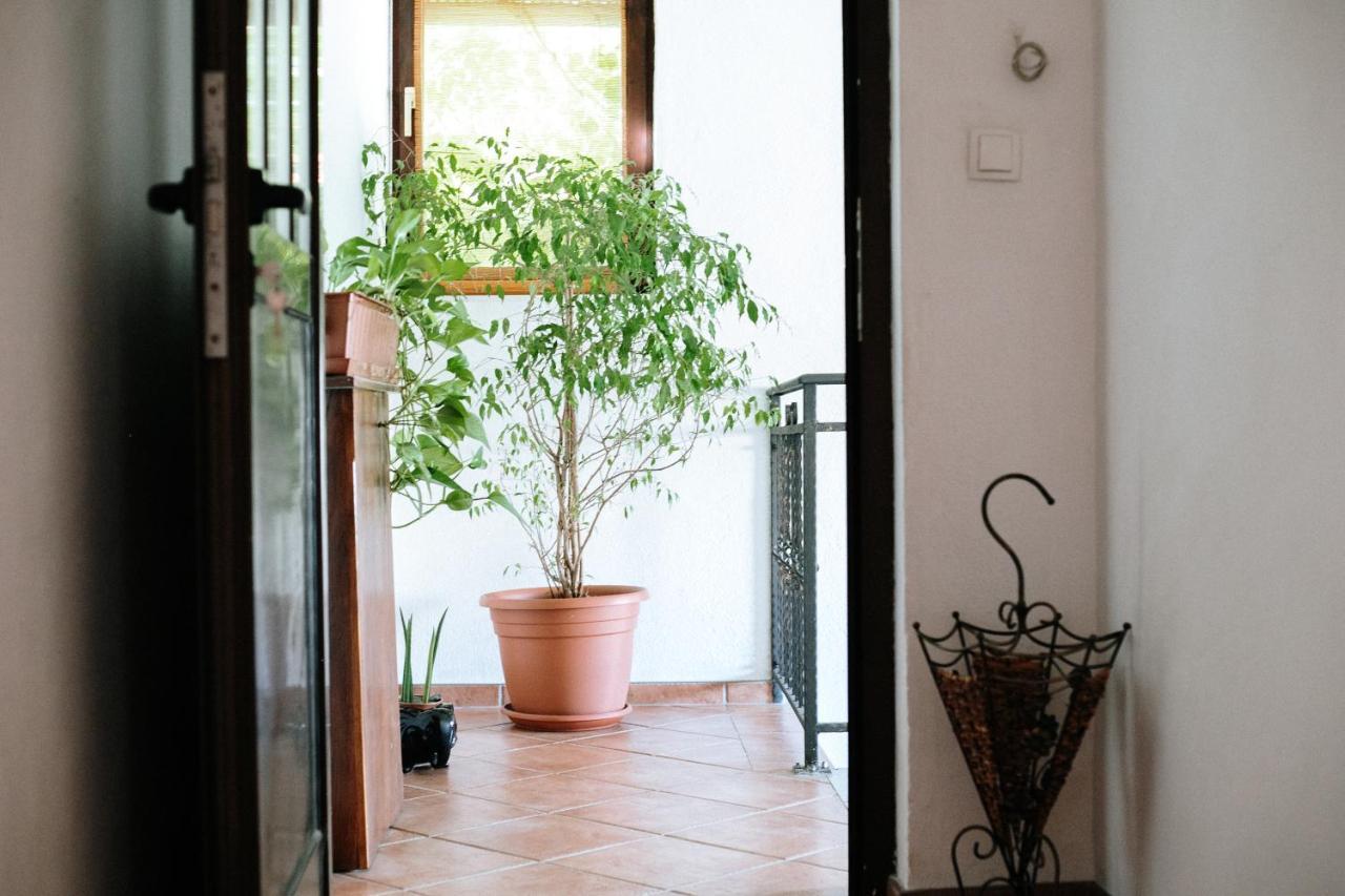מוסטר Apartment Ikar מראה חיצוני תמונה