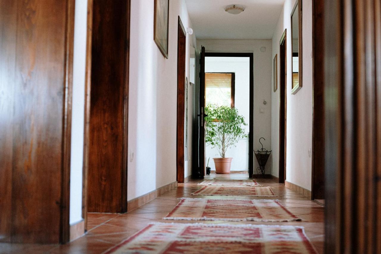 מוסטר Apartment Ikar מראה חיצוני תמונה